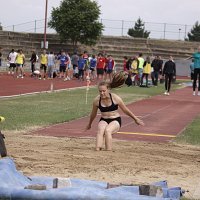 IMG 3114
